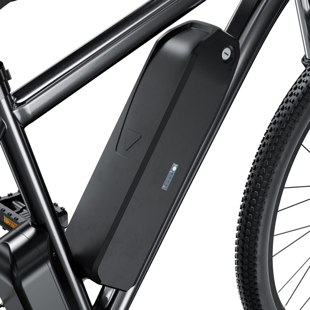 Finbike M10 Mountain Elektrofahrrad