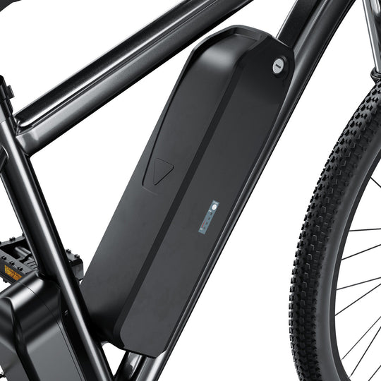Finbike M10 Mountain Elektrofahrrad