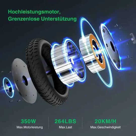 Finbike E9 Electric Scooter with ABE 350W Motor