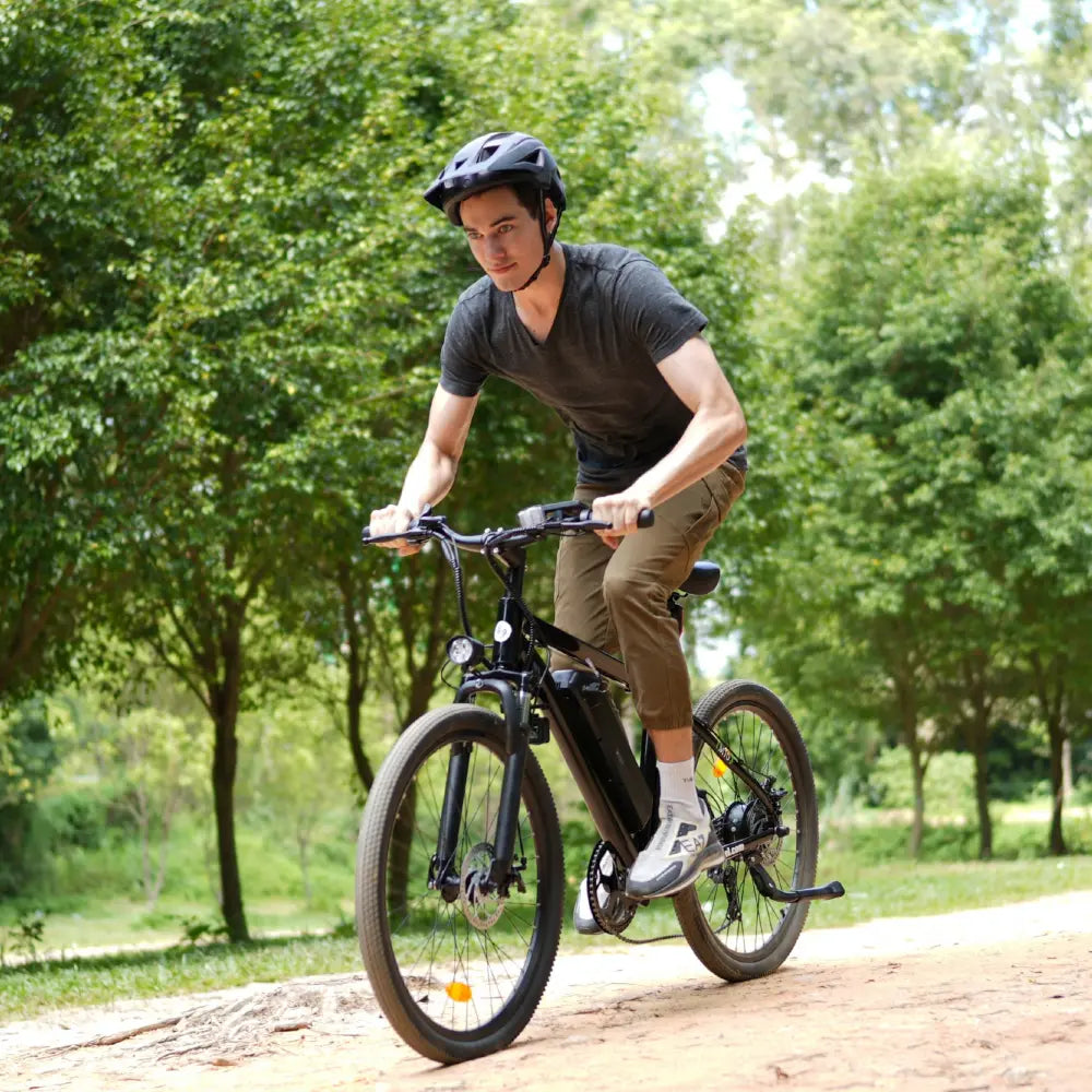 Finbike M10 Mountain Elektrofahrrad