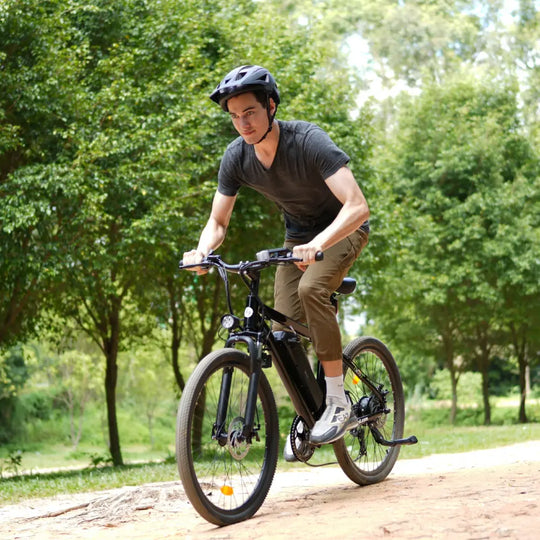 Finbike M10 Mountain Elektrofahrrad