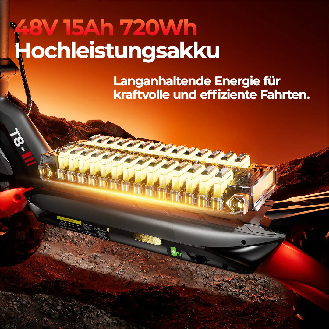 Finbike T8 Offroad-Elektroroller