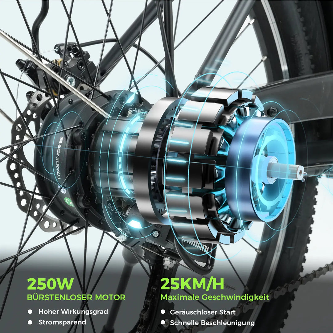 Finbike U2 Pendler-Elektrofahrrad mit tiefem Einstieg